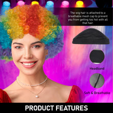 Load image into Gallery viewer, Multi Coloured Wig (Afro Rainbow Design)
