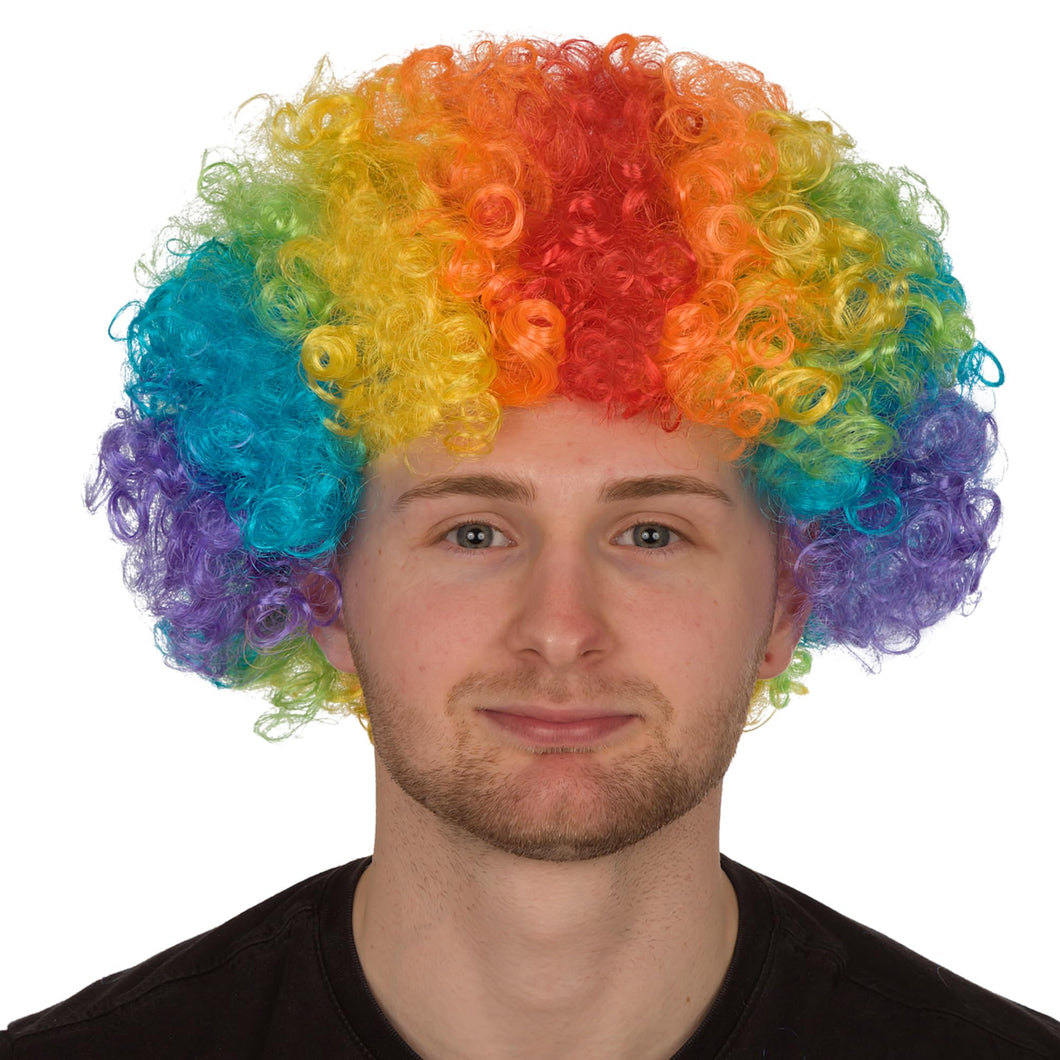 Multi Coloured Wig (Afro Rainbow Design)